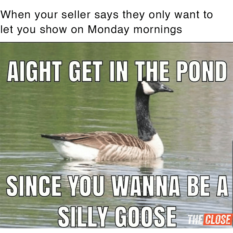 Real Estate meme