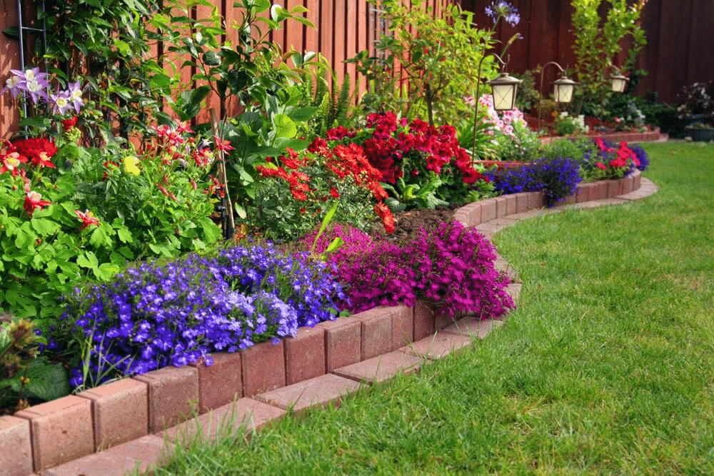 A flower bed