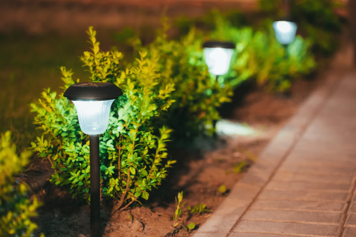 Outdoor lights lighting up a garden and walkway