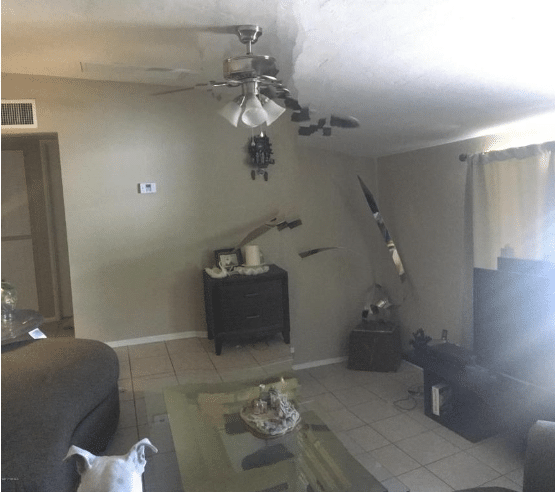 White dog staring into a living room with a TV, sofa, a glass-top table, and a green rug. The room is shifted off its axis of reality.