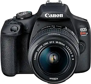 Example image of digital single-lens reflex (DSLR) camera