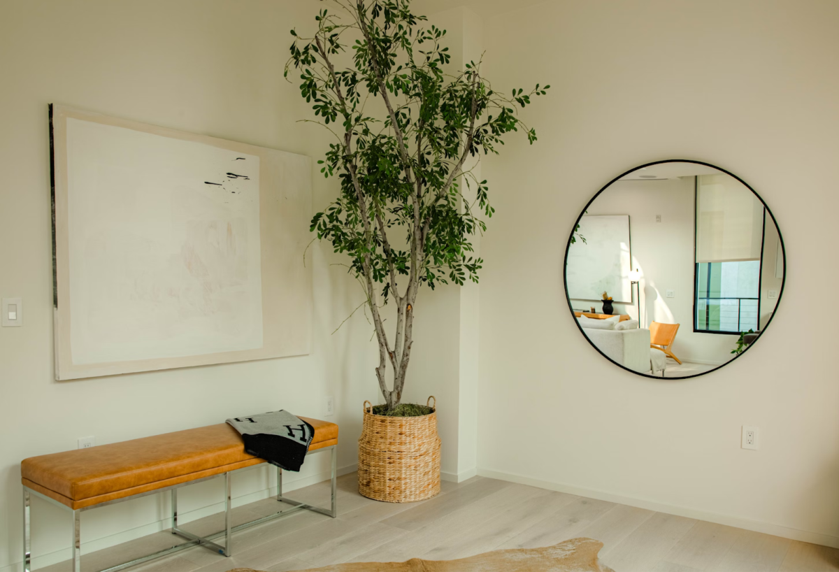  A room with a bench, large potted plant, and a mirror