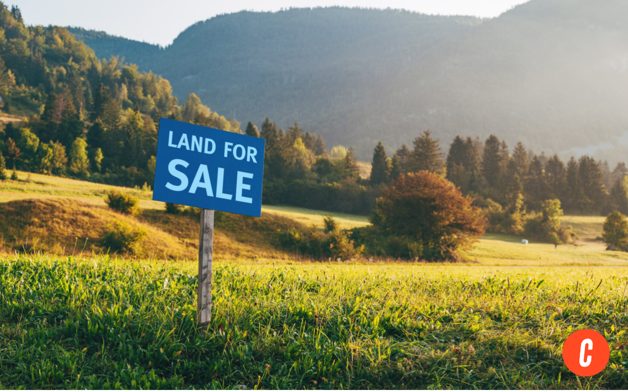 How to Buy Land in 8 Steps: A Guide for Investors