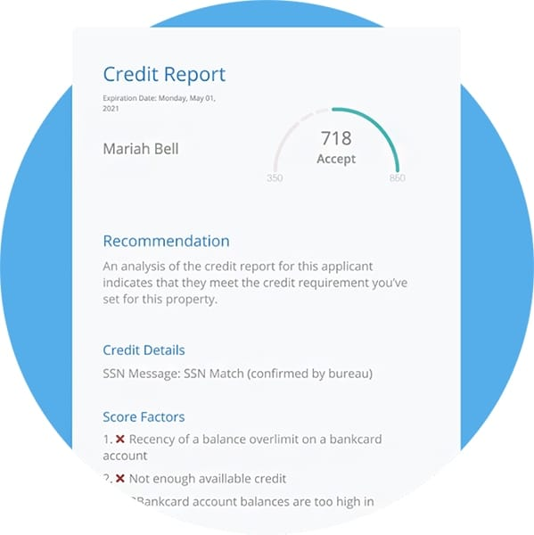 An example of a credit report with applicant credit details.