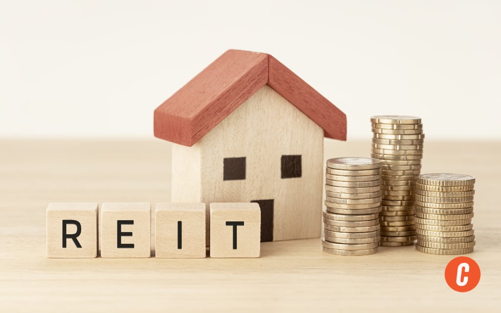 Real Estate Investment Trust (REIT): Ultimate Guide
