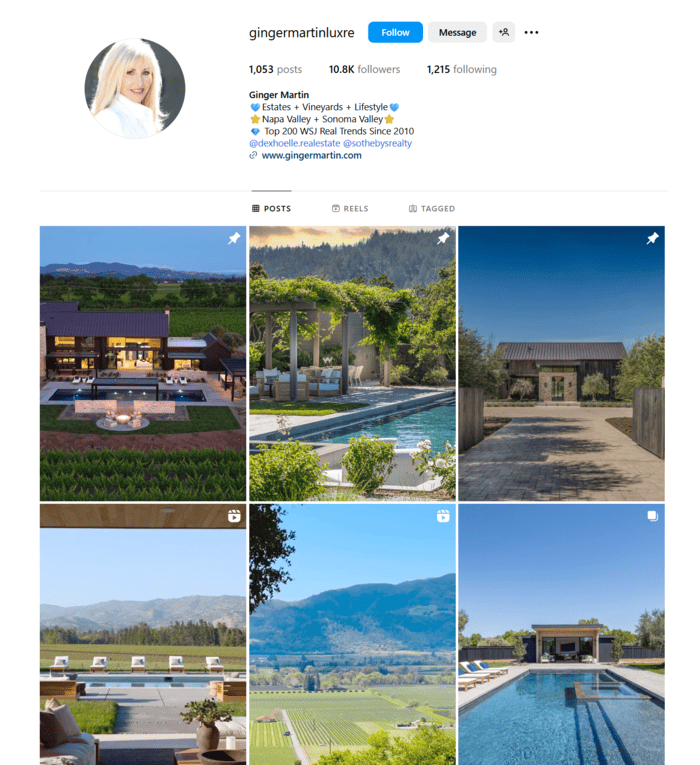 Ginger Martin's Instagram bio Ginger Martin's Instagram bio