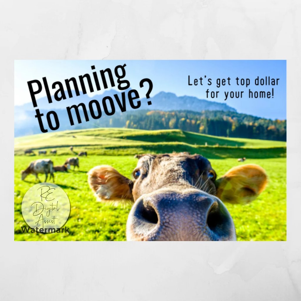A postcard with a close-up image of a cow, that reads "Planning to moove?"