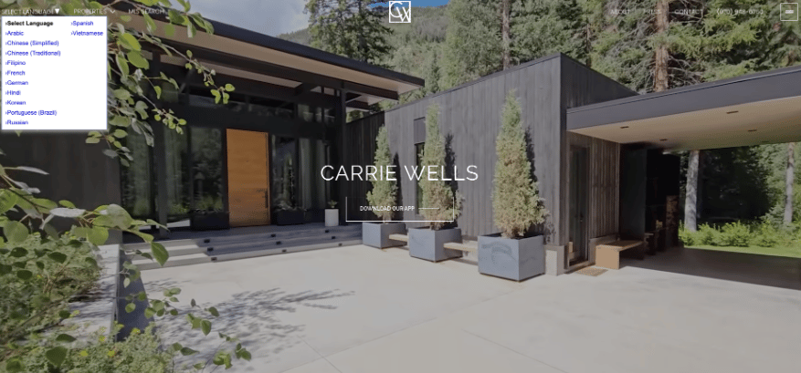 Carrie Well's website with language settings.